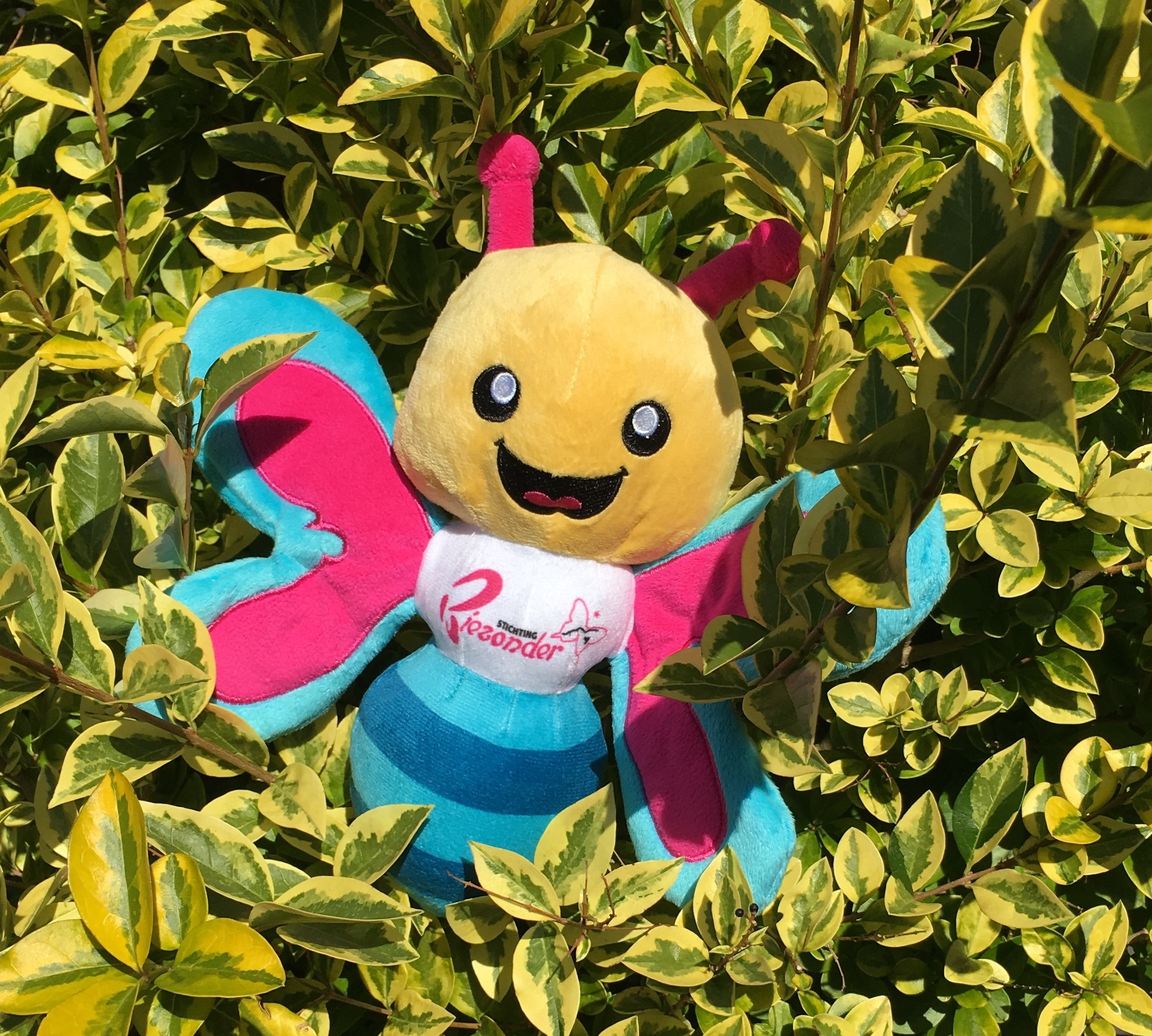 Knuffel plant selectie
