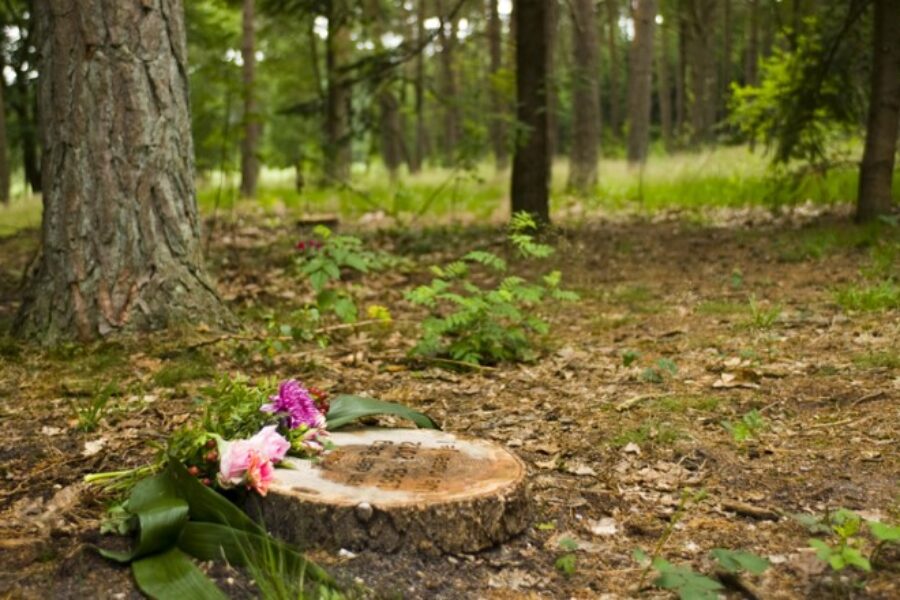 Kan ik in de natuur worden begraven?